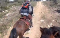 Au galop sur un cheval en GoPro