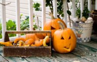 Déco Halloween : bien décorer la maison le soir du 31 octobre