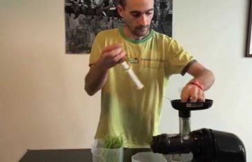 Jus d’herbe de blé : la recette du moment