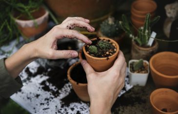 2019 : les 5 activités qui vont feront prendre l’air